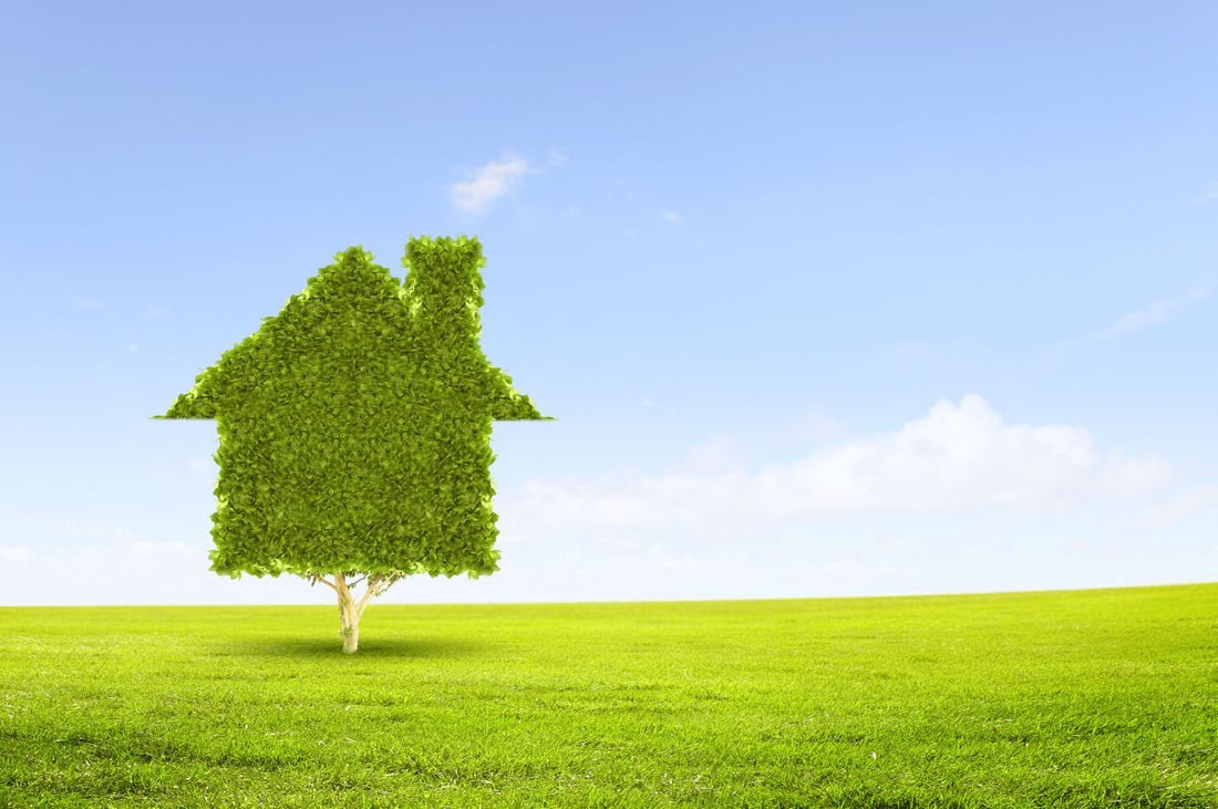 Casa green: 8 consigli per renderla più efficiente e sostenibile - Energia Libera Shop